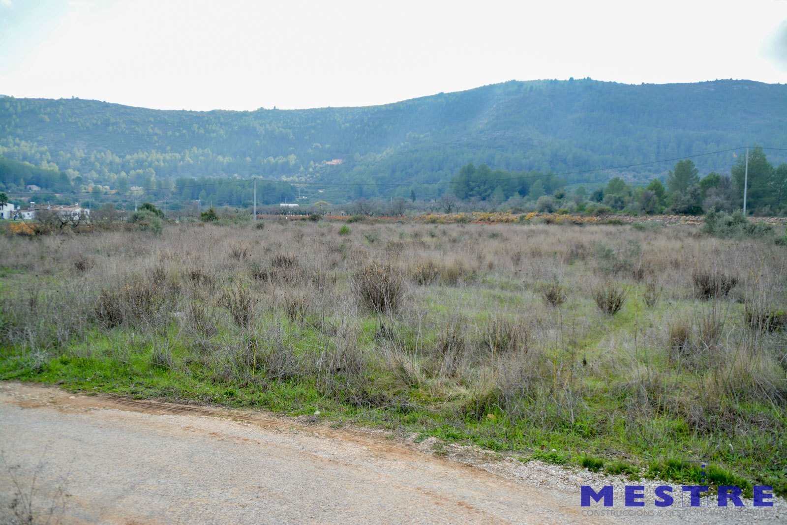 Tontti myytävänä paikassa Jalon / Xalo - 350 000 € (Ref: 3313764)