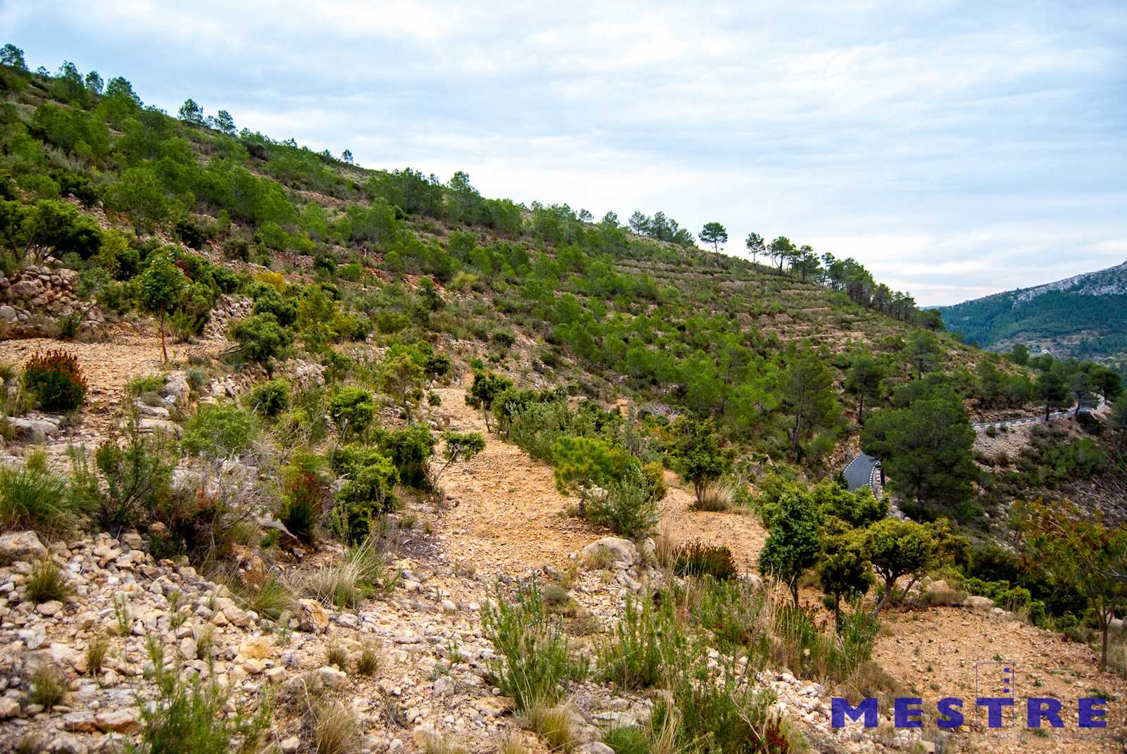 Byggegrund til salg i Lliber - € 60.000 (Ref: 3472254)