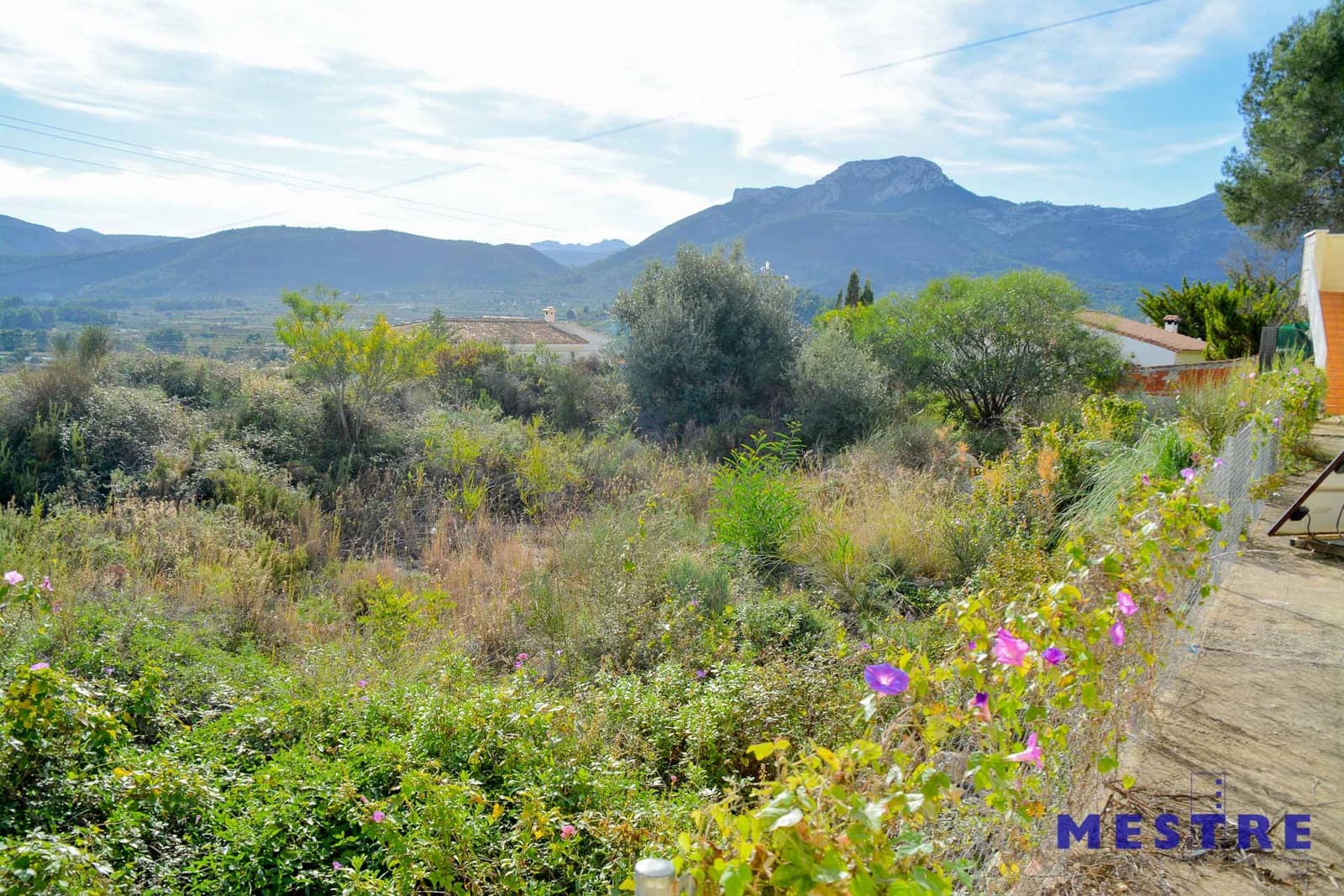 Building Plot for sale in Alcalali / Alcanali - € 80,000 (Ref: 4335133)