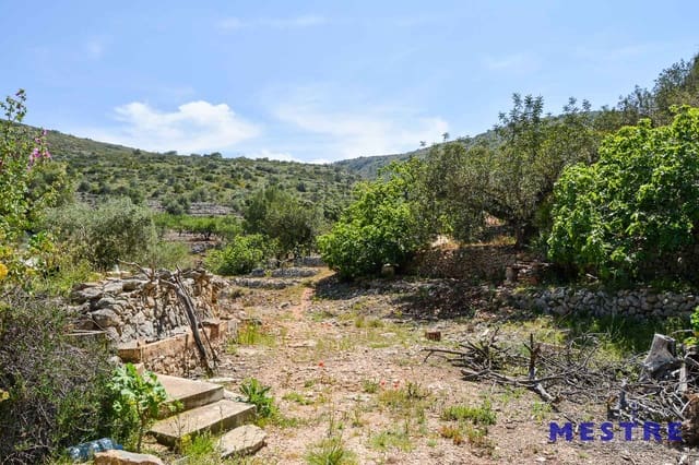Bouwgrond te koop in Jalón / Xaló - € 529.000 (Ref: 4691524)