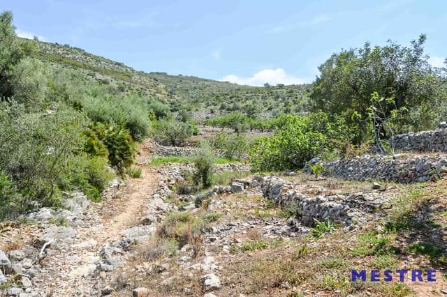 Bouwgrond te koop in Jalón / Xaló - € 529.000 (Ref: 4691524)