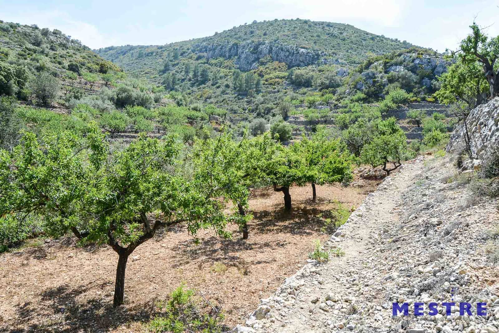 Bouwgrond te koop in Jalon / Xalo - € 529.000 (Ref: 4691524)