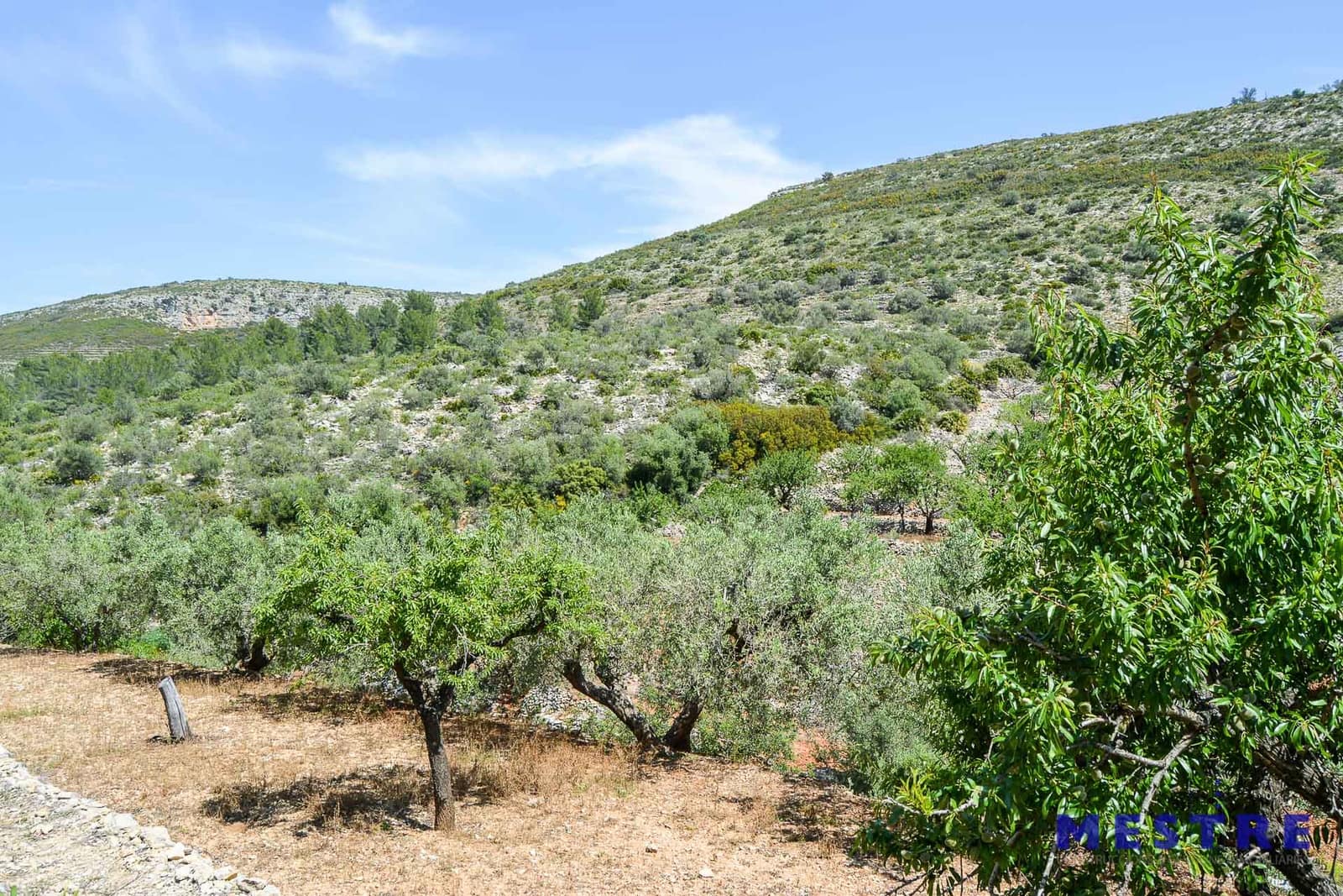 Bouwgrond te koop in Jalon / Xalo - € 529.000 (Ref: 4691524)