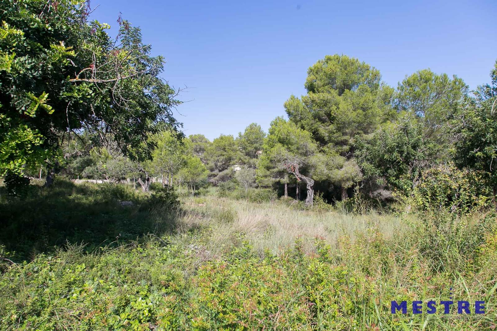 Tontti myytävänä paikassa Moraira - 280 000 € (Ref: 4796596)