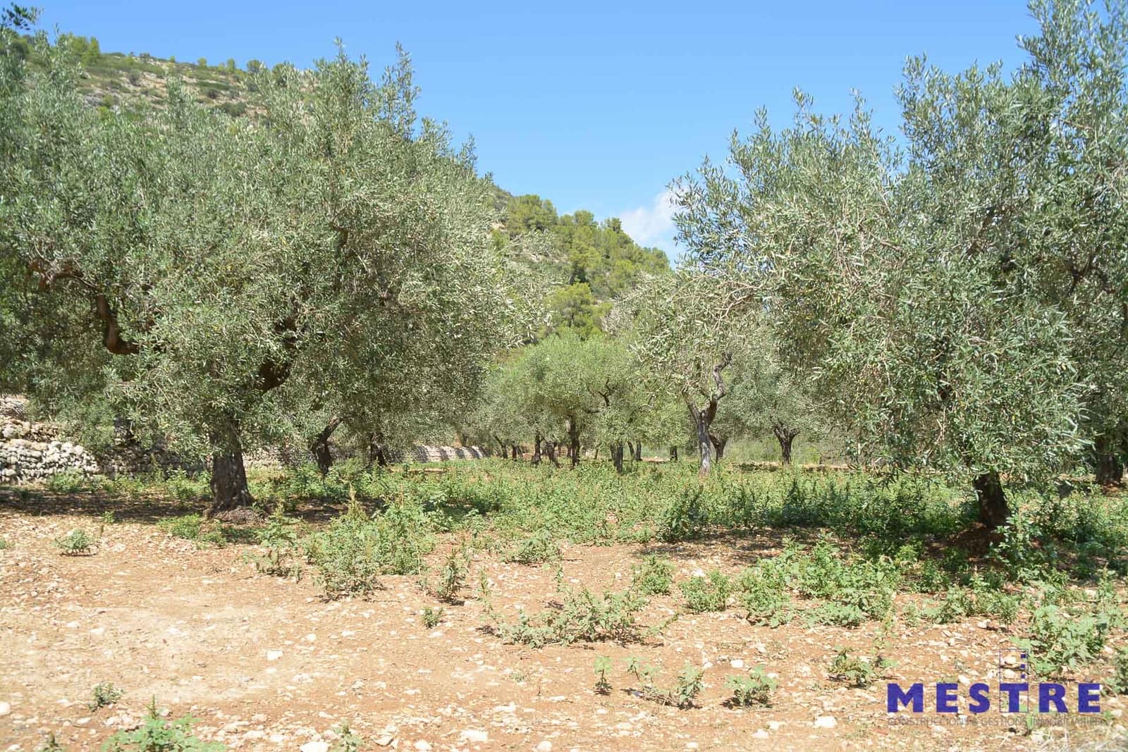 Tontti myytävänä paikassa Jalon / Xalo - 17 400 € (Ref: 4995194)