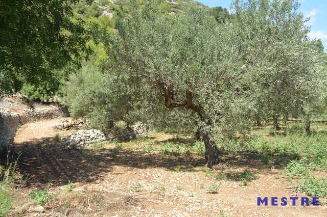 Bouwgrond te koop in Jalón / Xaló - € 17.400 (Ref: 4995194)