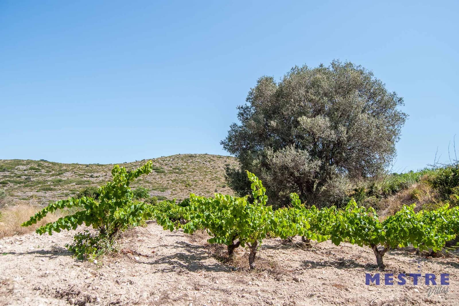 4 soverom Finca/Herregård til salgs i Senija - € 650 000 (Ref: 5526675)