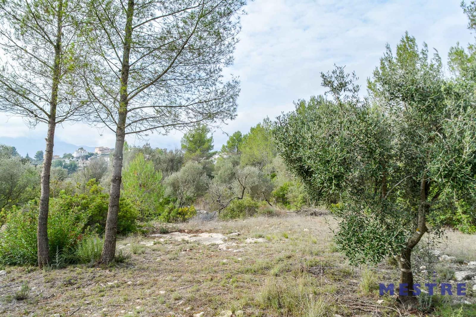 Tontti myytävänä paikassa Alcalali / Alcanali - 70 000 € (Ref: 5759119)