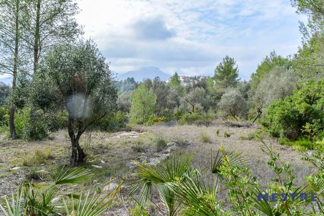 Bouwgrond te koop in Alcalalí / Alcanalí - € 70.000 (Ref: 5759119)