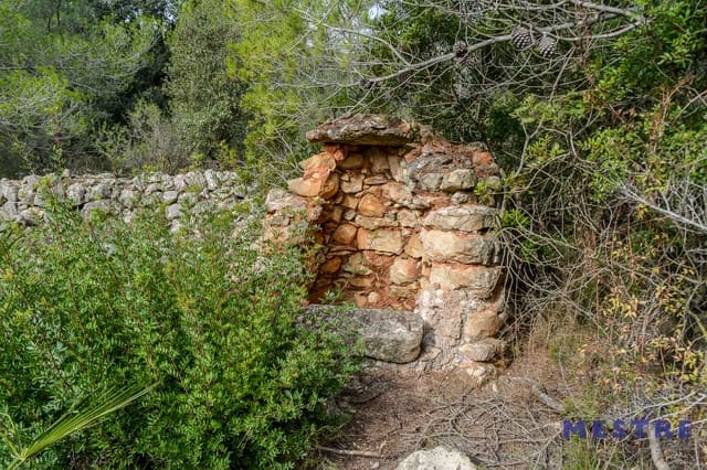 Bouwgrond te koop in Alcalalí / Alcanalí - € 70.000 (Ref: 5759119)