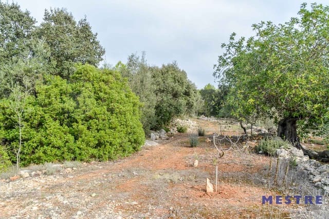 Bouwgrond te koop in Alcalalí / Alcanalí - € 70.000 (Ref: 5759119)
