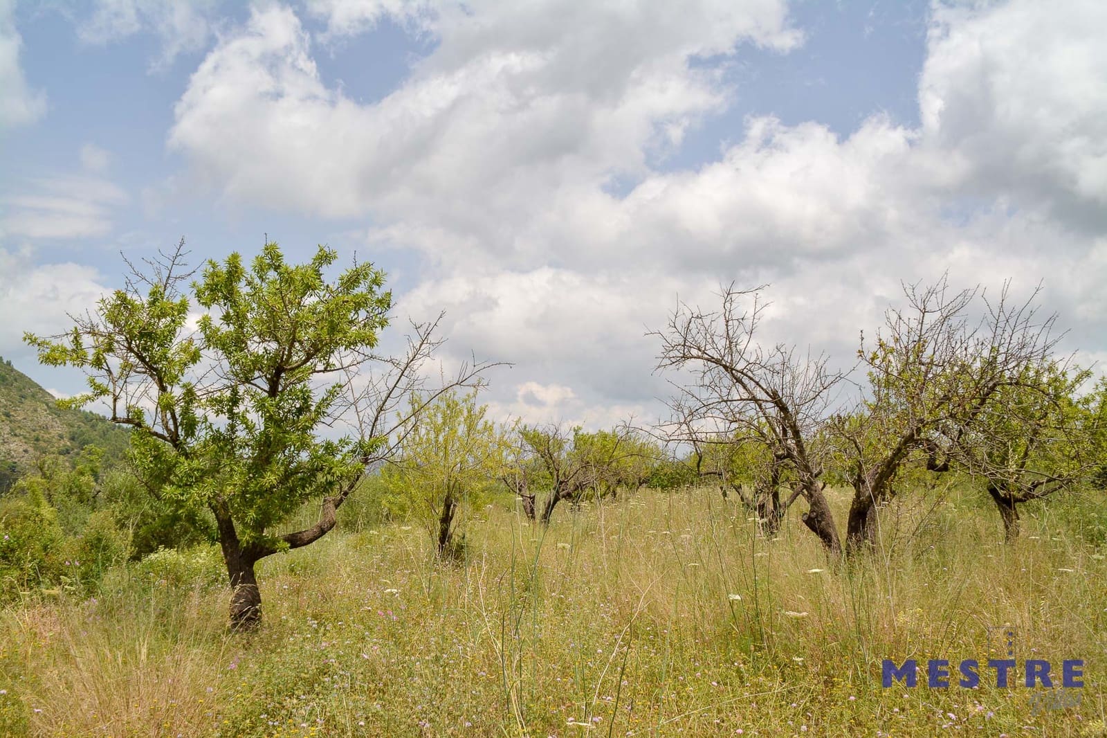 Tontti myytävänä paikassa Jalon / Xalo - 72 000 € (Ref: 6201159)