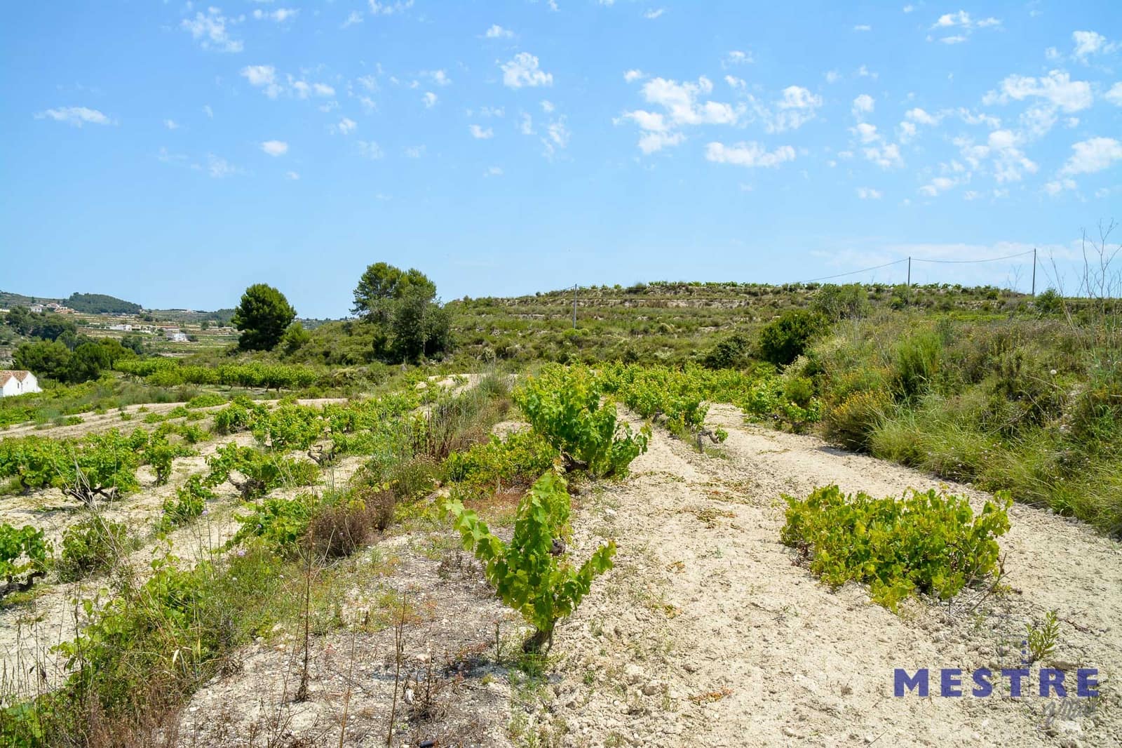 Area Edificabile in vendita in Teulada - 500.000 € (Rif: 6286079)