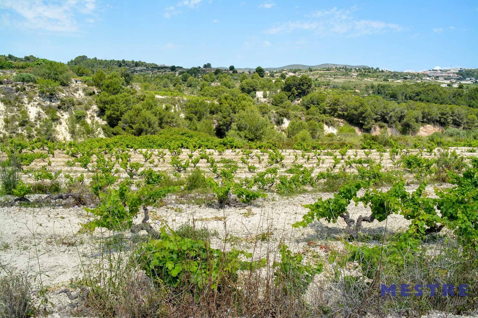 Area Edificabile in vendita in Teulada - 500.000 € (Rif: 6286079)