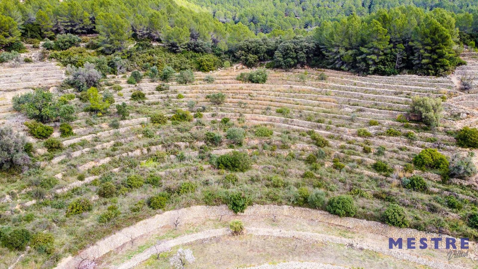 Bouwgrond te koop in Jalon / Xalo - € 120.000 (Ref: 6587905)