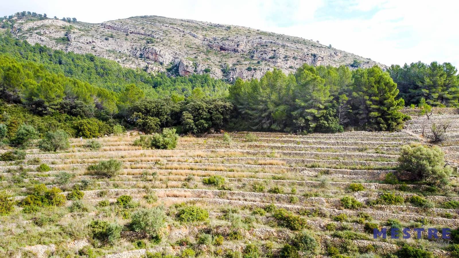 Bouwgrond te koop in Jalon / Xalo - € 120.000 (Ref: 6587905)