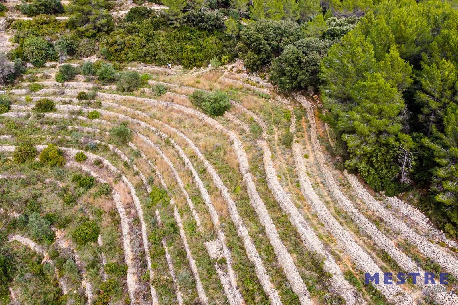 Bouwgrond te koop in Jalon / Xalo - € 120.000 (Ref: 6587905)