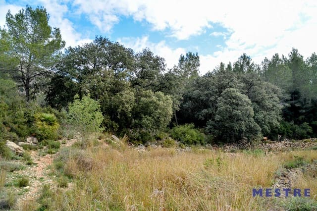 Bouwgrond te koop in Jalón / Xaló - € 120.000 (Ref: 6587905)