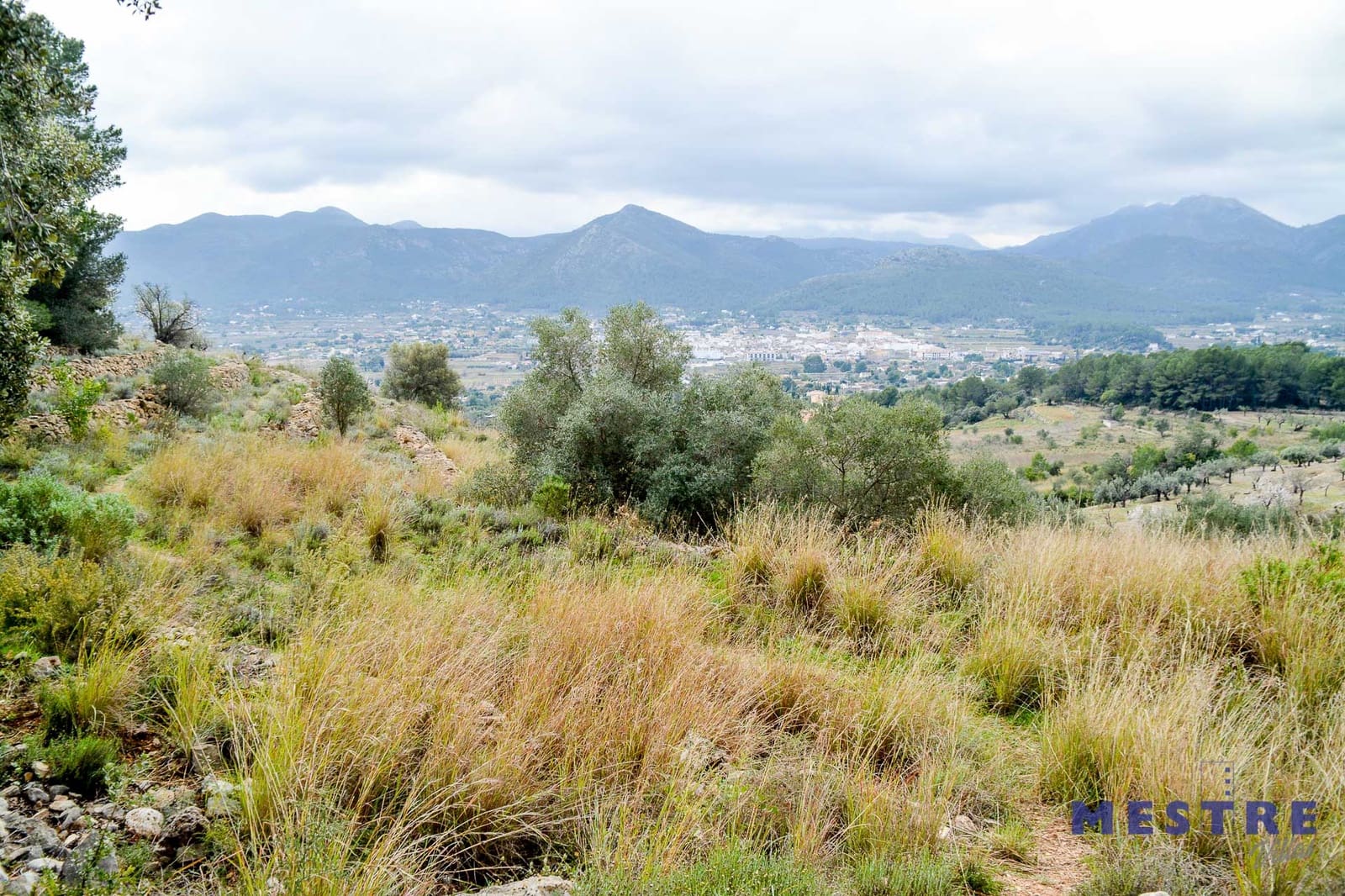 Bouwgrond te koop in Jalon / Xalo - € 120.000 (Ref: 6587905)