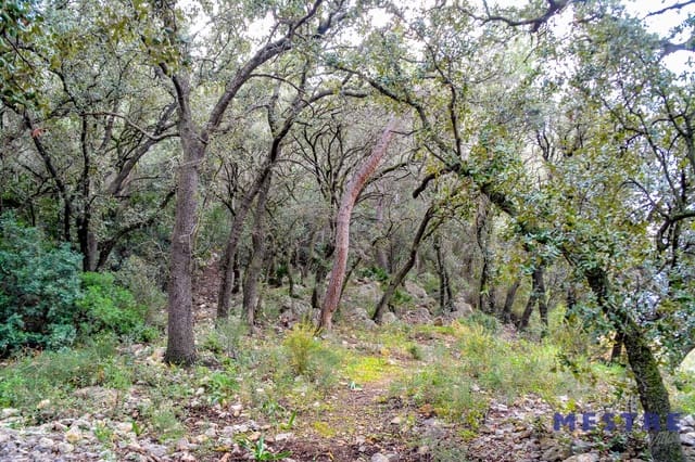 Bouwgrond te koop in Jalón / Xaló - € 120.000 (Ref: 6587905)