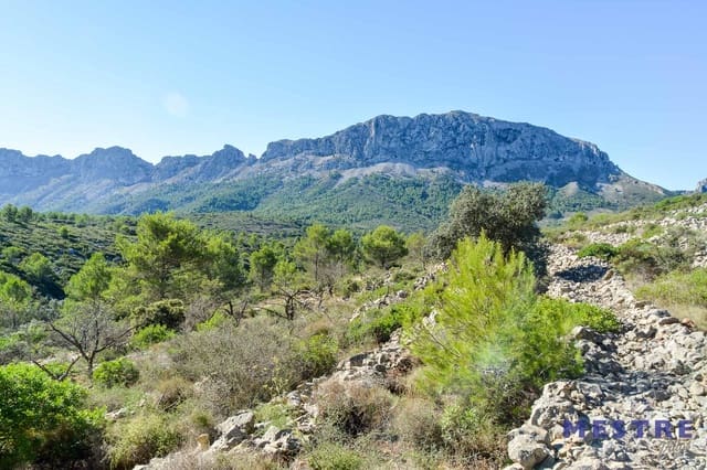 Bouwgrond te koop in Jalón / Xaló - € 79.000 (Ref: 6587907)