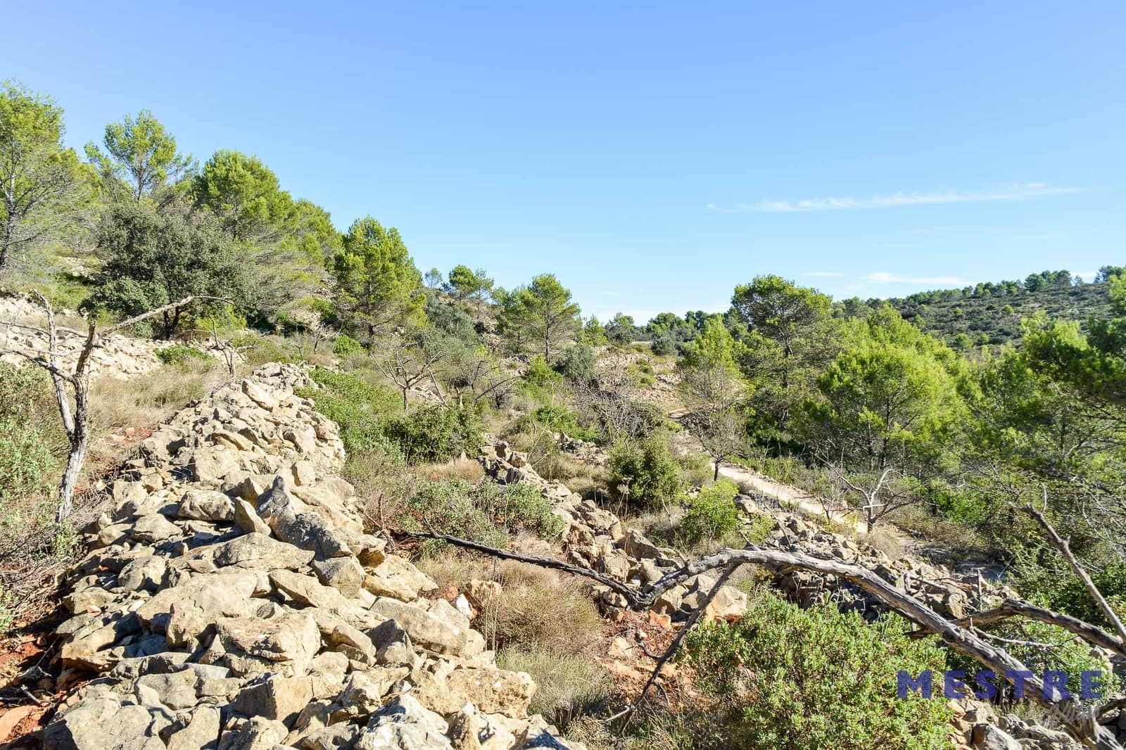 Bouwgrond te koop in Jalon / Xalo - € 79.000 (Ref: 6587907)