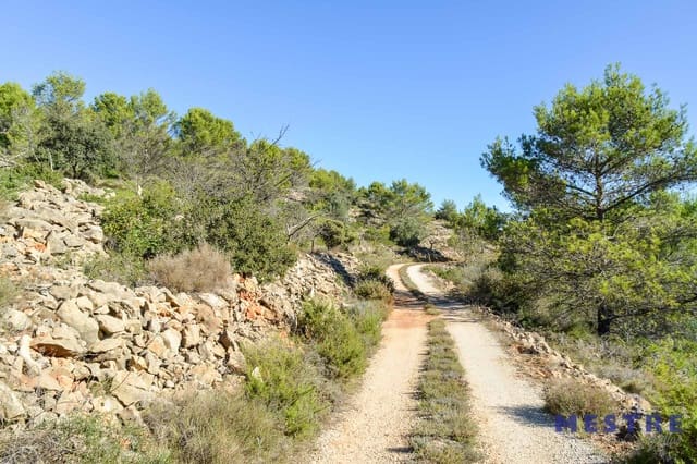 Bouwgrond te koop in Jalón / Xaló - € 79.000 (Ref: 6587907)