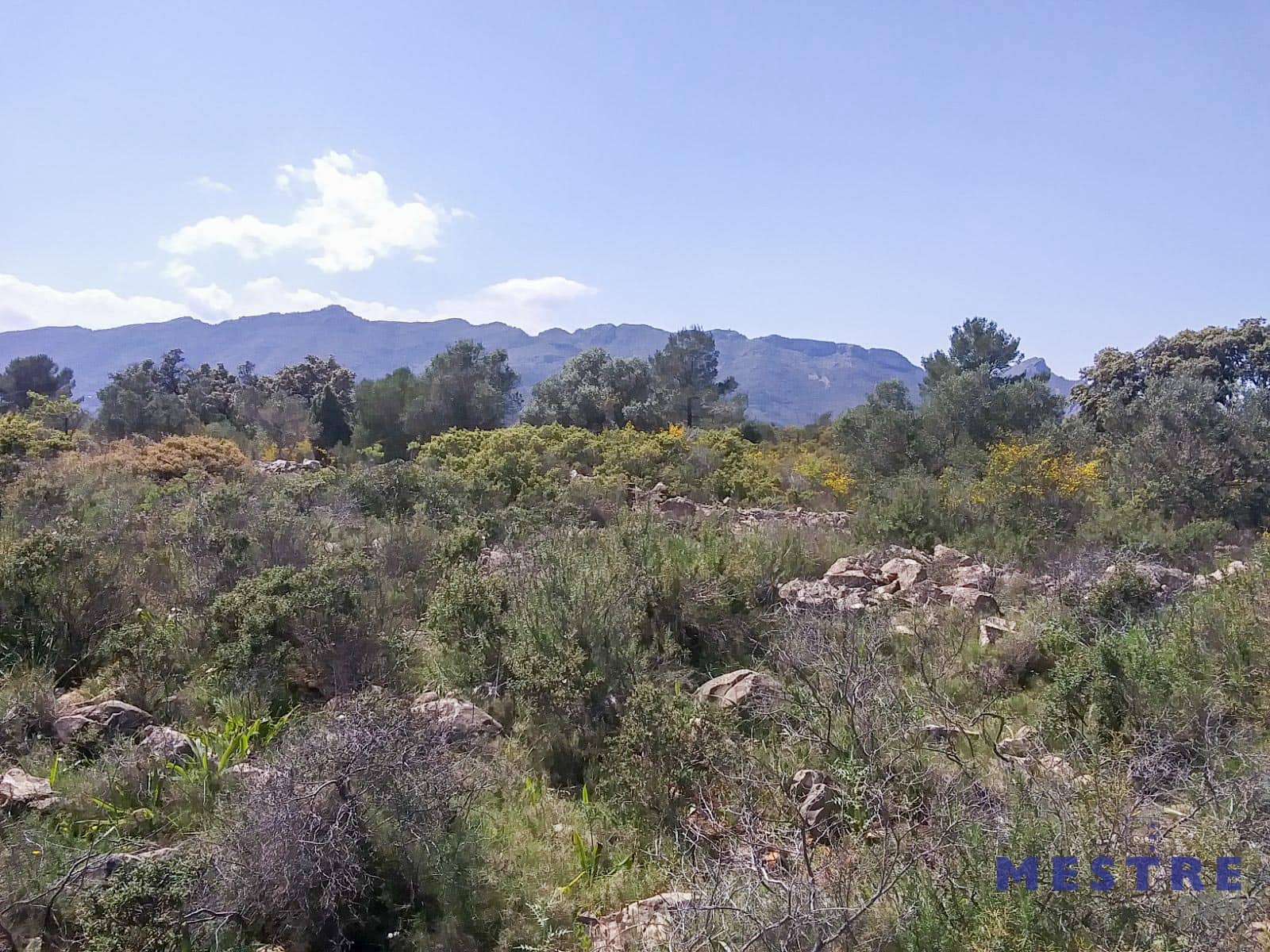 1 sovrum Finca/Hus på landet till salu i Lliber - 110 000 € (Ref: 7797482)