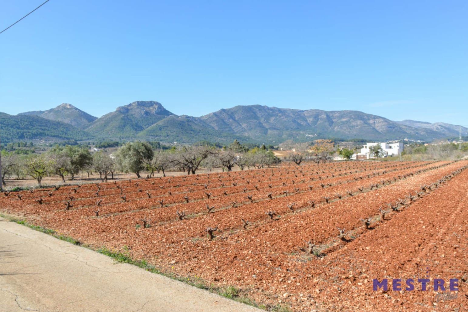 Bouwgrond te koop in Jalon / Xalo - € 184.000 (Ref: 8710468)