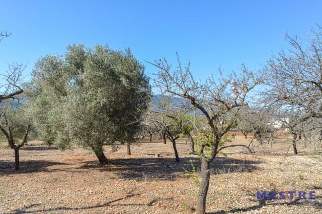 Bouwgrond te koop in Jalón / Xaló - € 184.000 (Ref: 8710468)