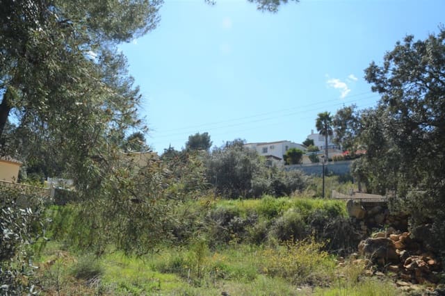 Tomt till salu i Alcalalí / Alcanalí - 125 000 € (Ref: 9687442)