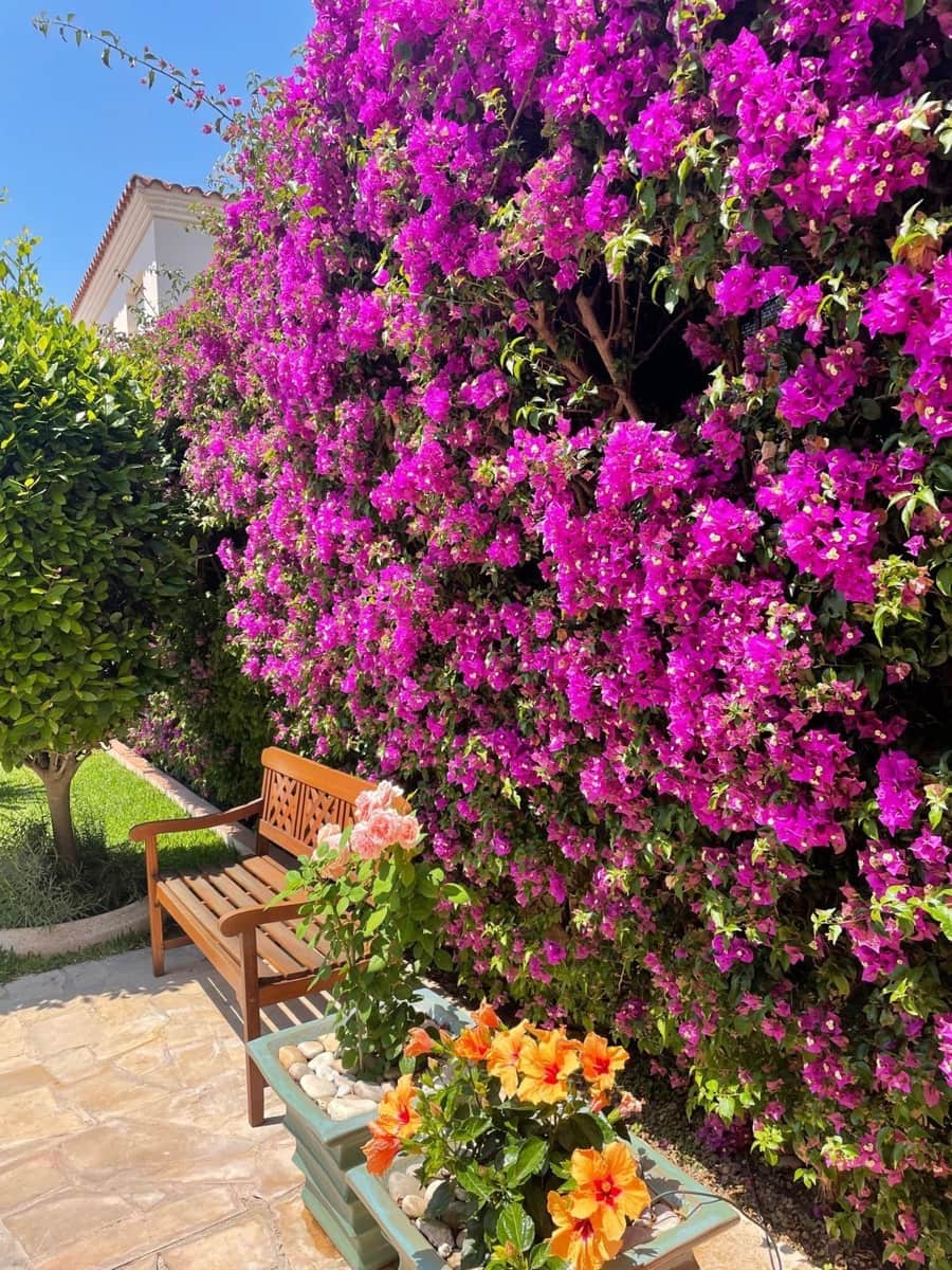Chalet de 3 habitaciones en Vinaròs en venta con garaje - 280.000 € (Ref: 10174664)
