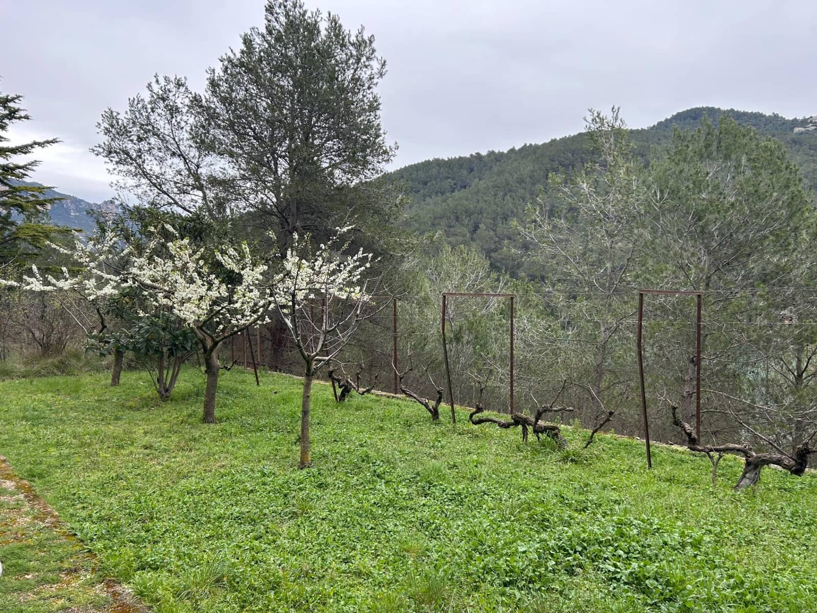 5 soverom Villa til salgs i La Pobla de Benifassa med garasje - € 265 000 (Ref: 9347625)