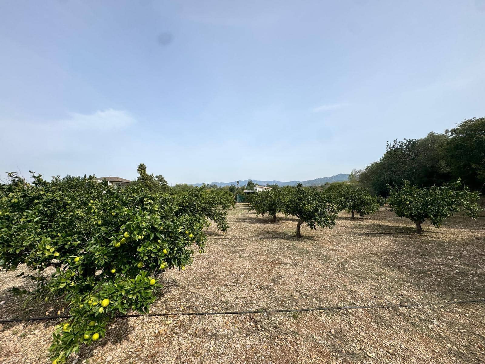 5 chambre Finca/Maison de Campagne à vendre à Tortosa avec piscine garage - 327 000 € (Ref: 9401827)