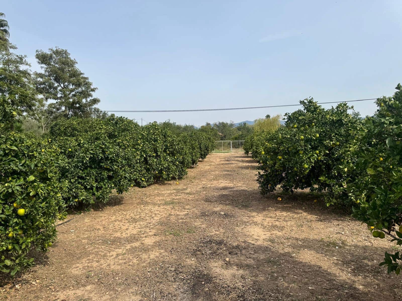 5 chambre Finca/Maison de Campagne à vendre à Tortosa avec piscine garage - 327 000 € (Ref: 9401827)