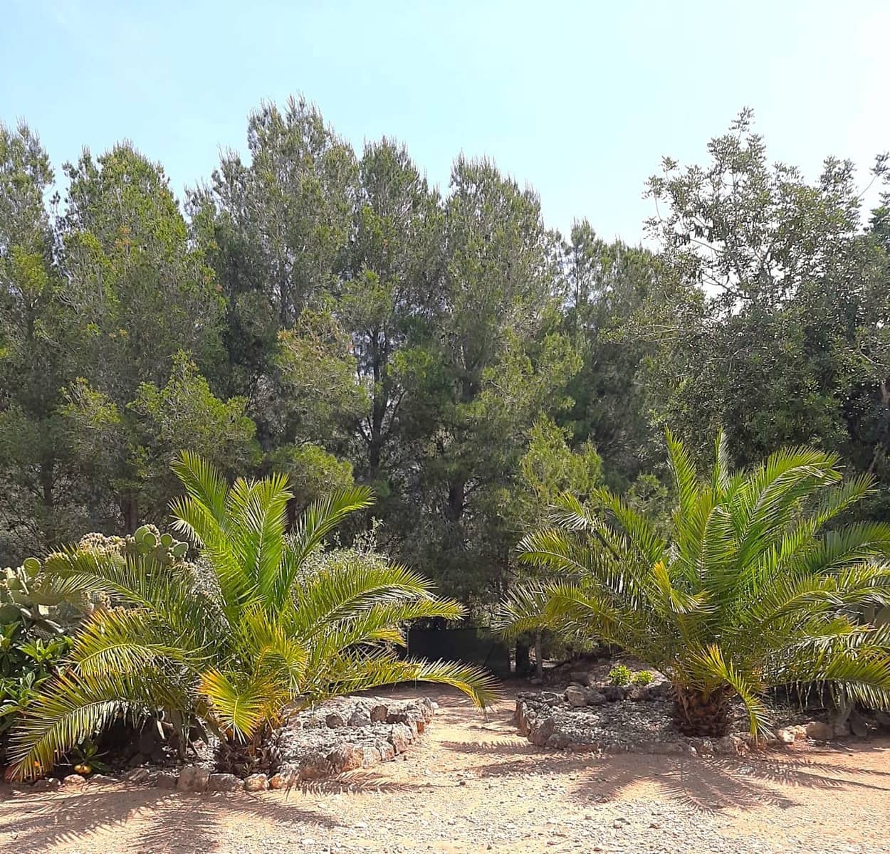 4 sovrum Villa till salu i Sant Jordi med pool garage - 399 000 € (Ref: 9634506)