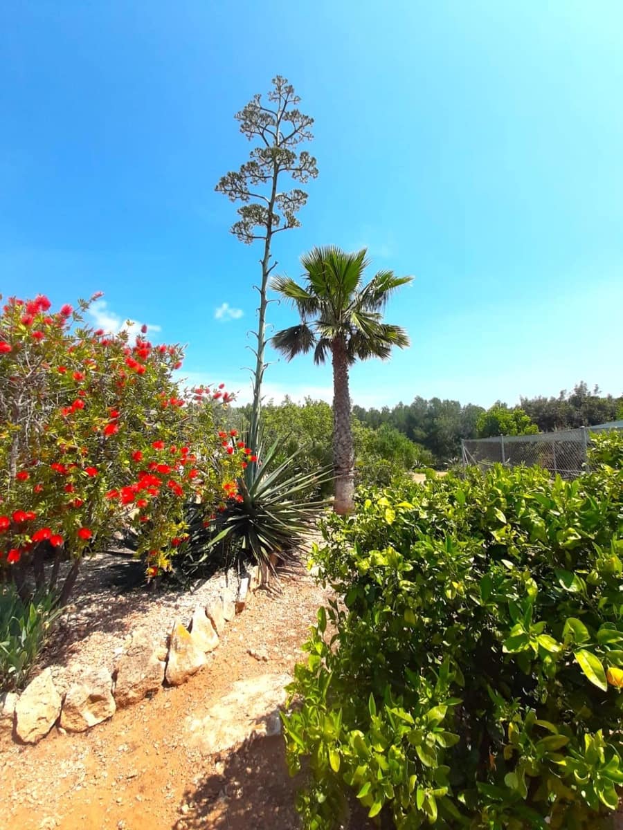 4 slaapkamer Villa te koop in Sant Jordi met zwembad garage - € 399.000 (Ref: 9634506)