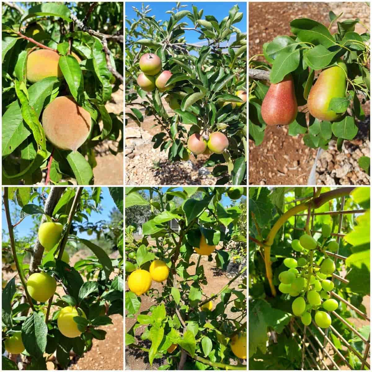 4 bedroom Villa for sale in Sant Jordi with pool garage - € 399,000 (Ref: 9634506)