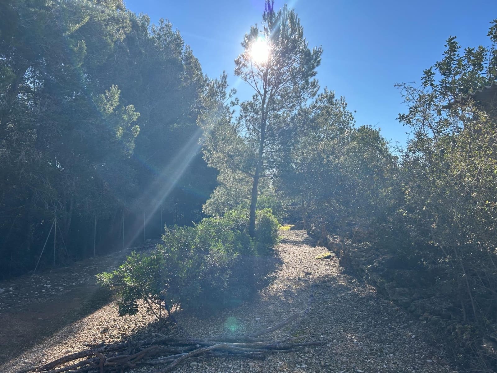 4 bedroom Villa for sale in Sant Jordi with pool garage - € 399,000 (Ref: 9634506)