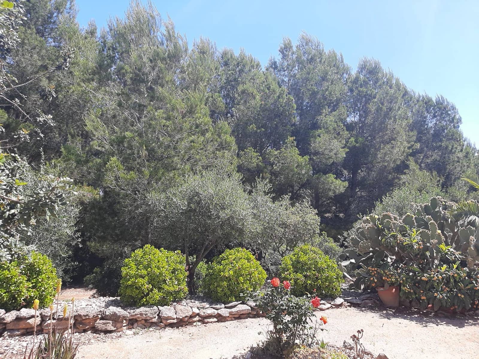 4 slaapkamer Villa te koop in Sant Jordi met zwembad garage - € 399.000 (Ref: 9634506)