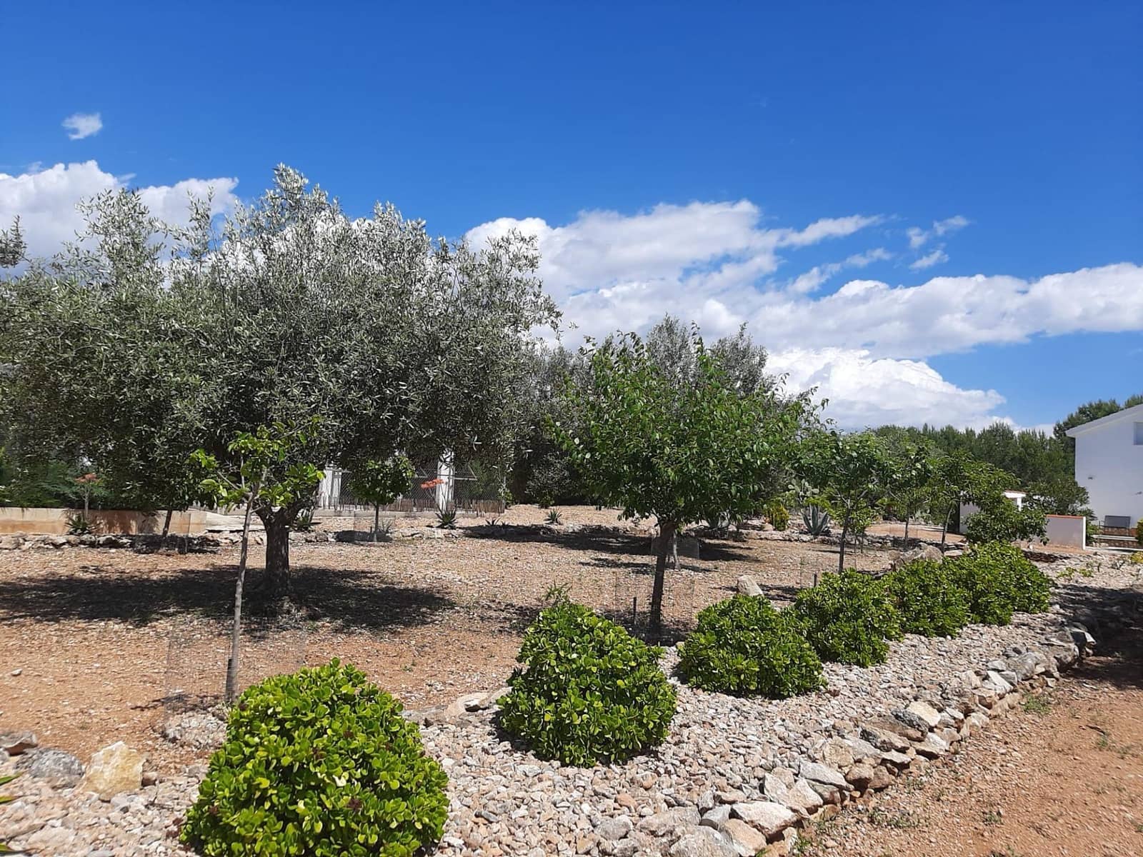 4 slaapkamer Villa te koop in Sant Jordi met zwembad garage - € 399.000 (Ref: 9634506)