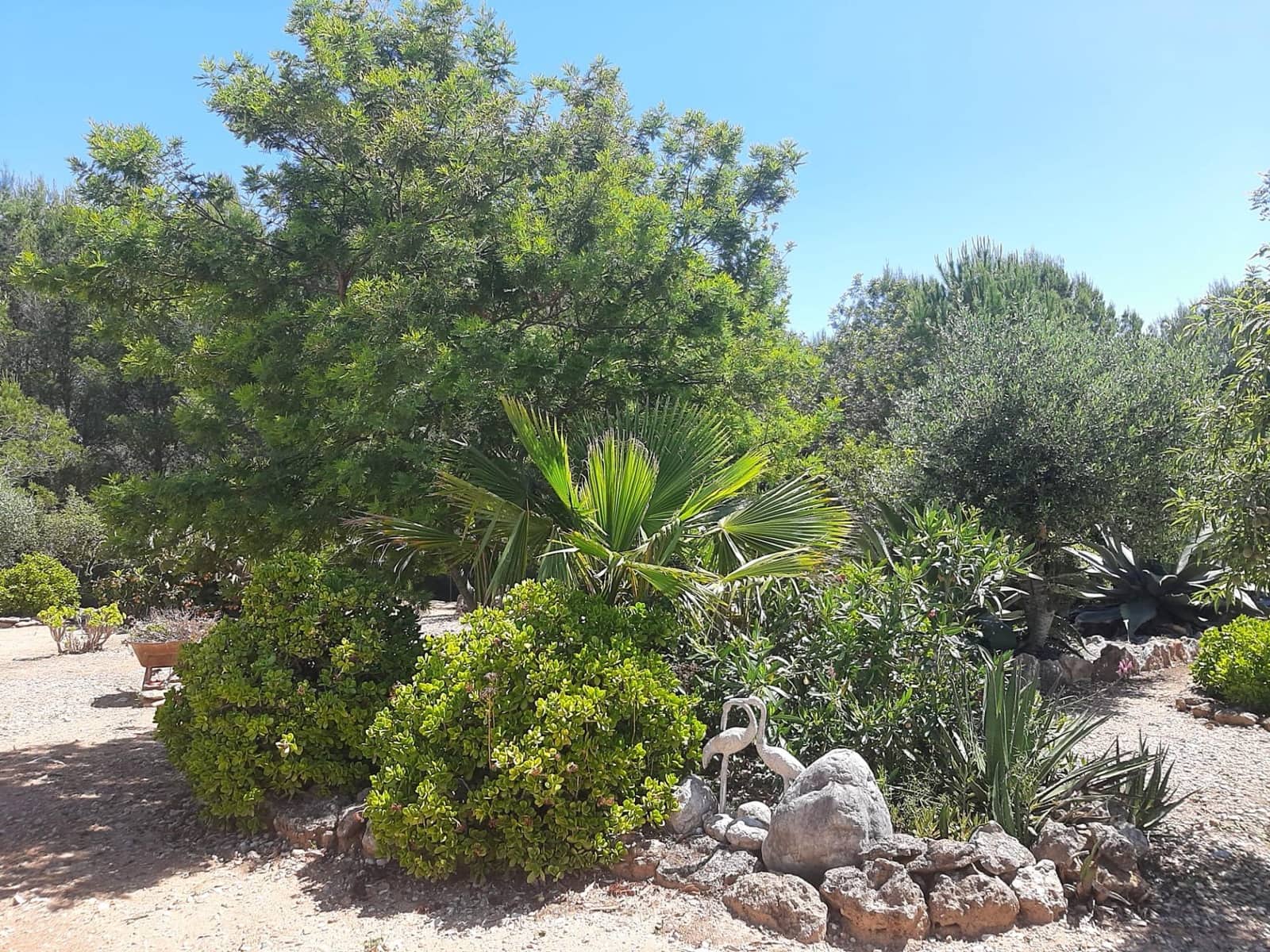 4 slaapkamer Villa te koop in Sant Jordi met zwembad garage - € 399.000 (Ref: 9634506)
