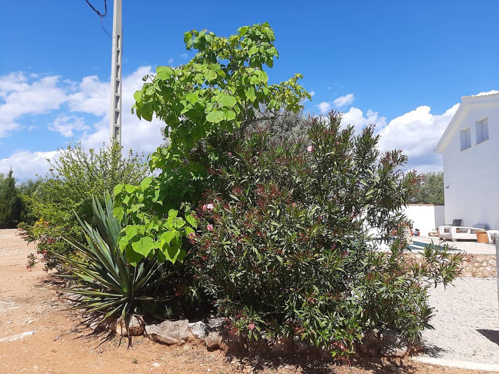 4 slaapkamer Villa te koop in Sant Jordi met zwembad garage - € 399.000 (Ref: 9634506)
