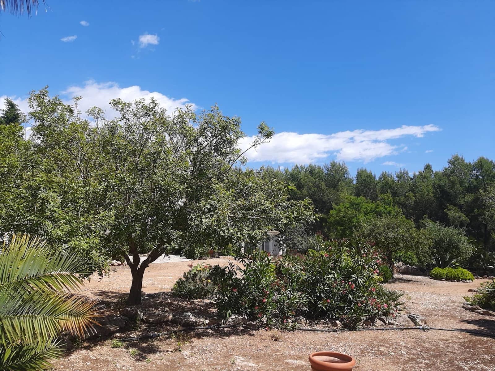 4 slaapkamer Villa te koop in Sant Jordi met zwembad garage - € 399.000 (Ref: 9634506)
