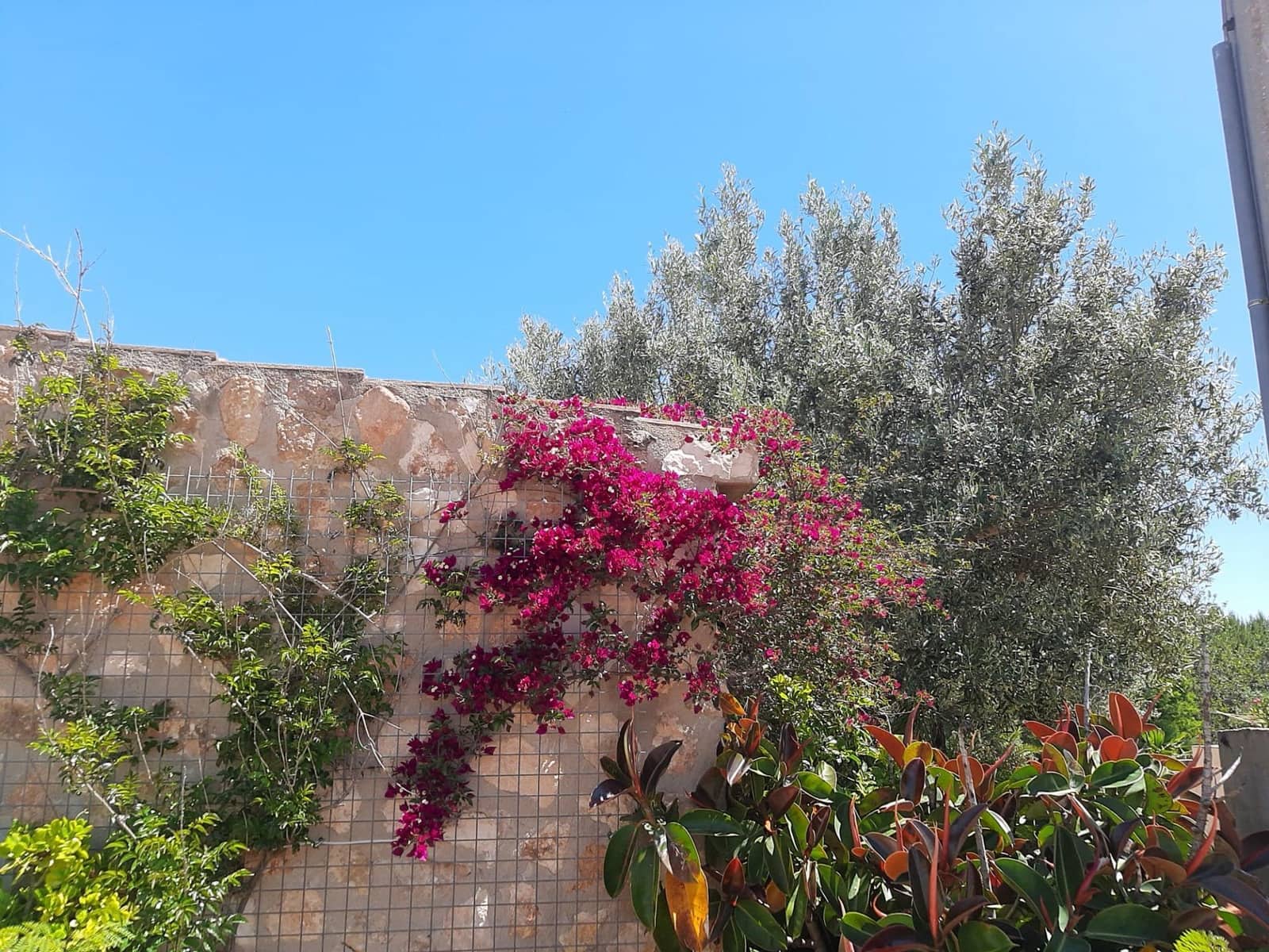 4 slaapkamer Villa te koop in Sant Jordi met zwembad garage - € 399.000 (Ref: 9634506)