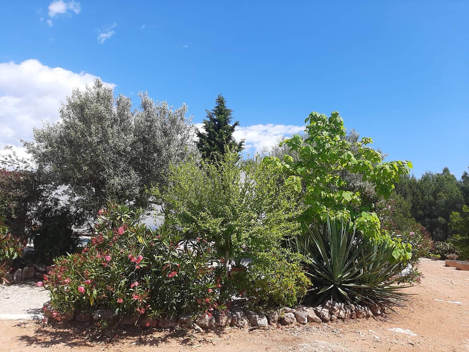 4 slaapkamer Villa te koop in Sant Jordi met zwembad garage - € 399.000 (Ref: 9634506)