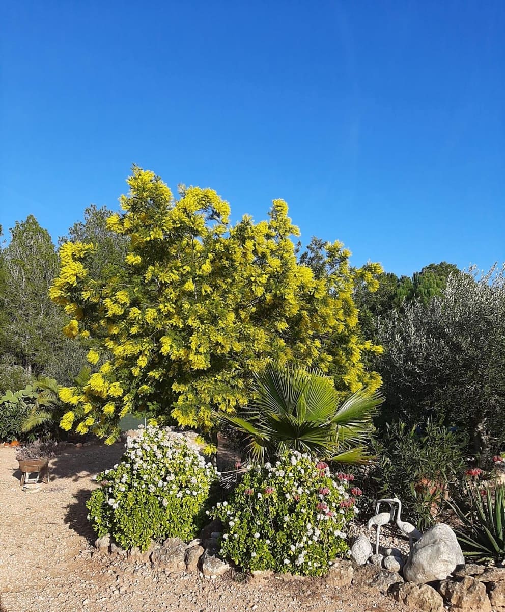 4 bedroom Finca/Country House for sale in Sant Jordi with pool garage - € 399,000 (Ref: 9634506)