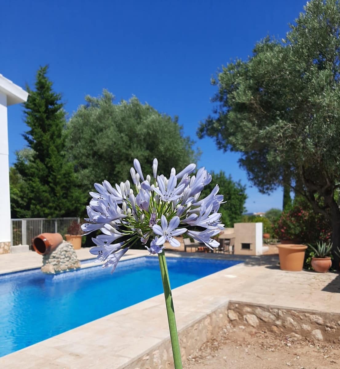4 bedroom Finca/Country House for sale in Sant Jordi with pool garage - € 399,000 (Ref: 9634506)