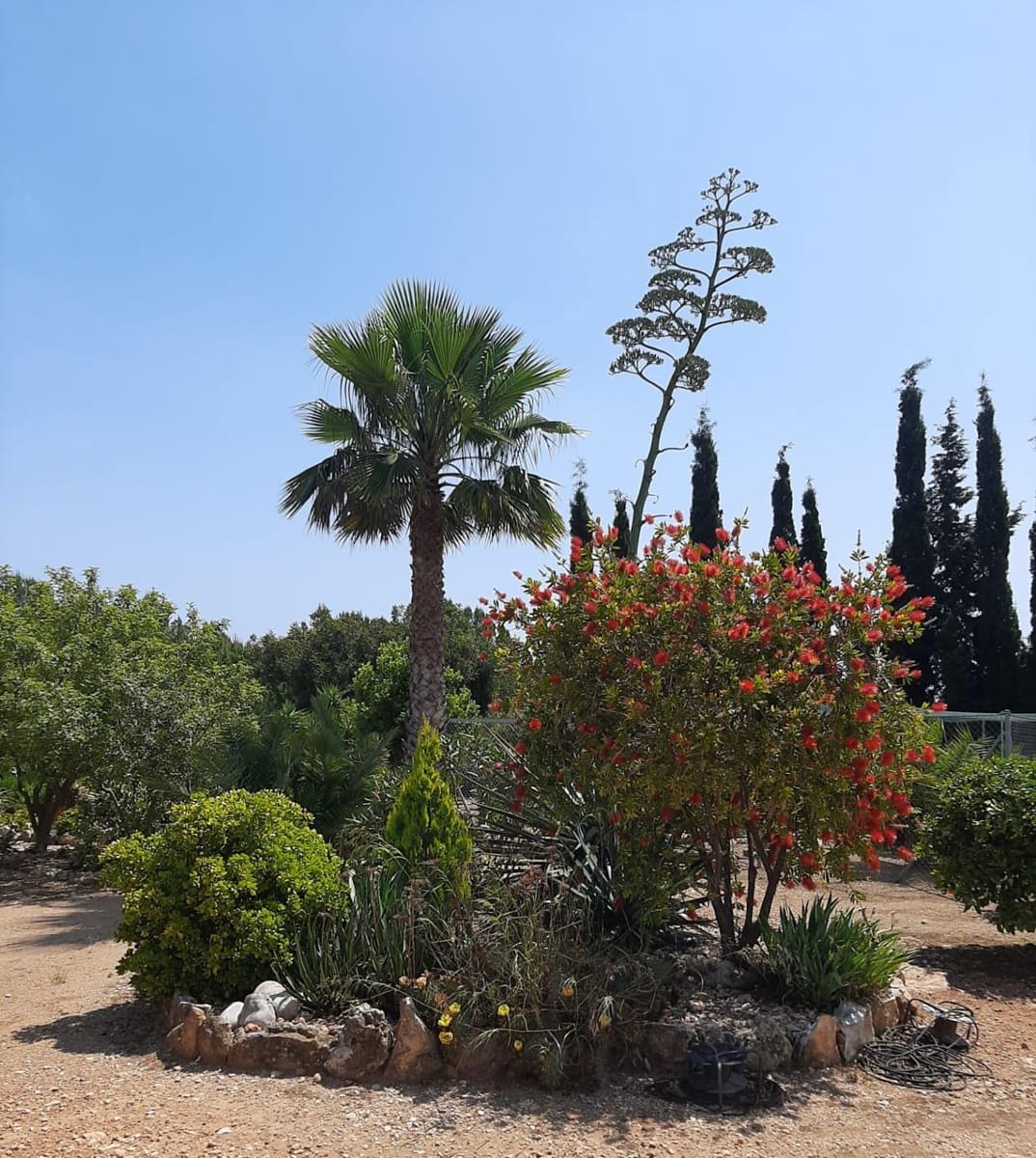 4 bedroom Finca/Country House for sale in Sant Jordi with pool garage - € 399,000 (Ref: 9634506)