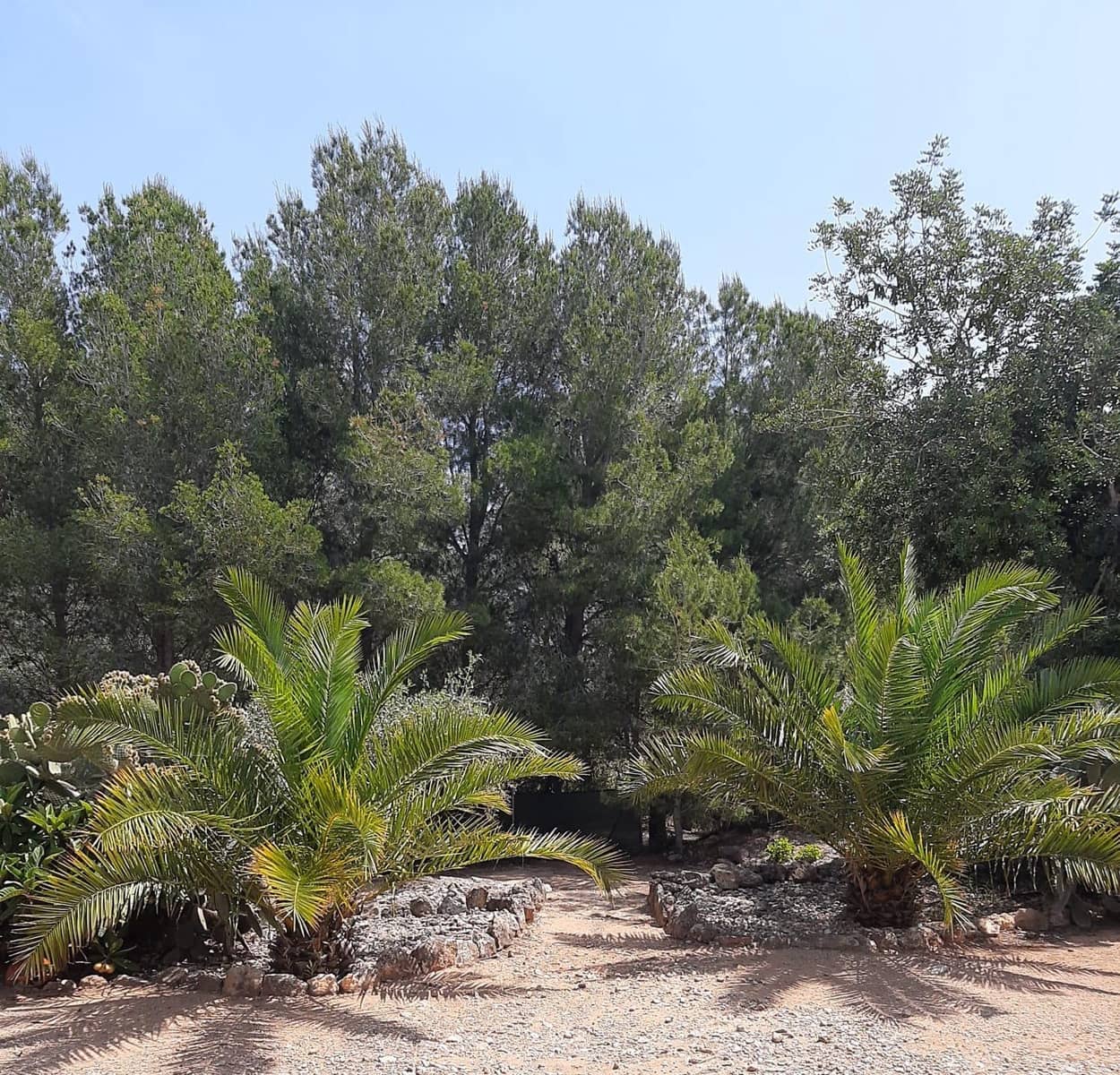4 bedroom Finca/Country House for sale in Sant Jordi with pool garage - € 399,000 (Ref: 9634506)